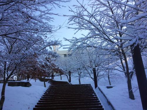 Daejeon là một trong năm thành phố lớn của Hàn Quốc, nút giao thông của các tuyến giao thông chính, cách Seoul 50 phút đi tàu cao tốc. Được mệnh danh là "Thung lũng Silicon của Châu Á", nhiều viện nghiên cứu quan trọng trong nước được đặt tại đây. Tuy là thành phố của khoa học công nghệ nhưng du khách đến với Daejeon 