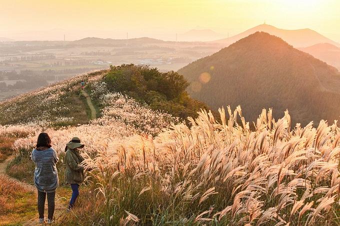 Đảo Jeju, điểm hẹn tình yêu
