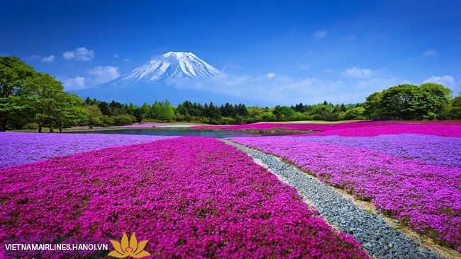 Những điều du khách thích khi đi du lịch Nhật Bản