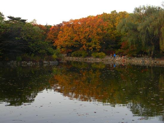 mùa thu hàn quốc