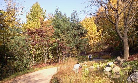 mùa thu hàn quốc