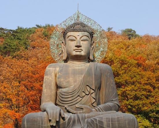 mùa thu hàn quốc