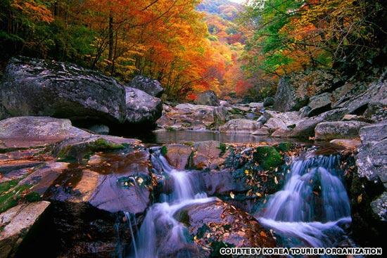 mùa thu hàn quốc