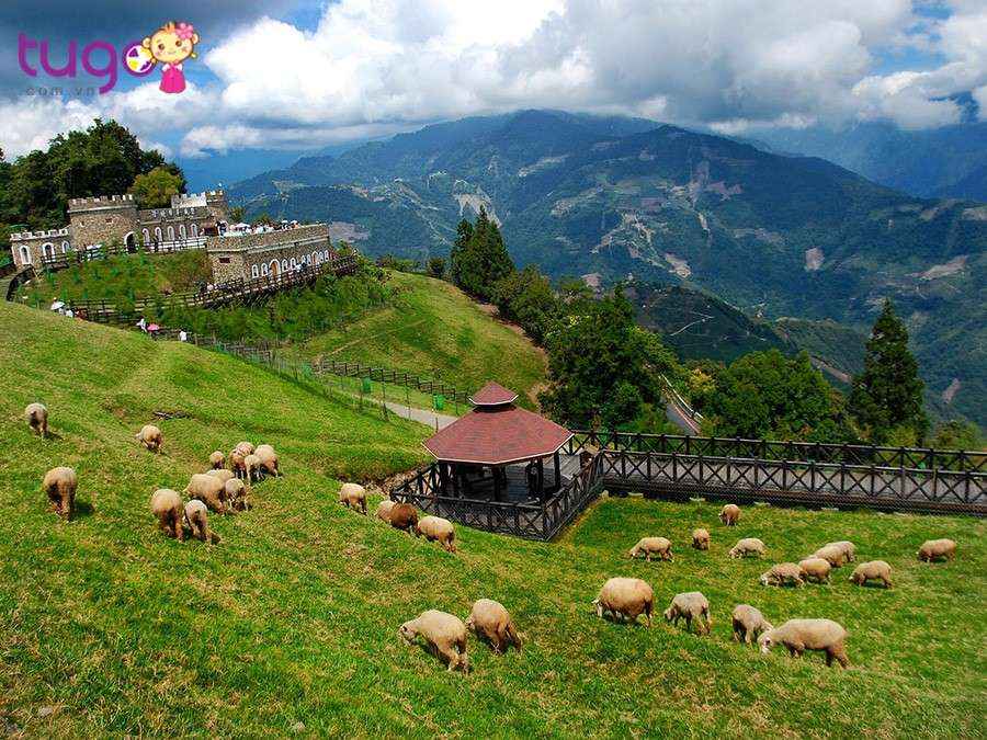 Nông trường Thanh Cảnh