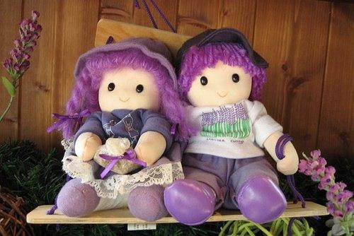 oải hương đài loan