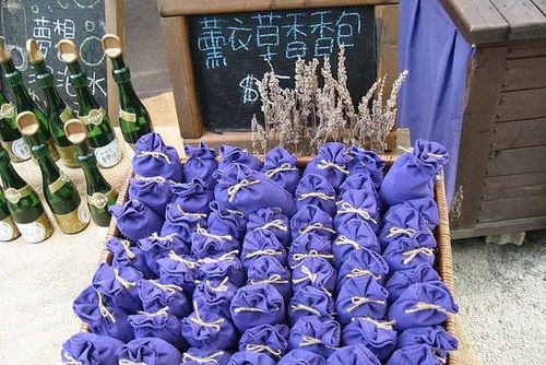 oải hương đài loan