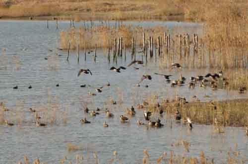 vé máy bay đi Busan