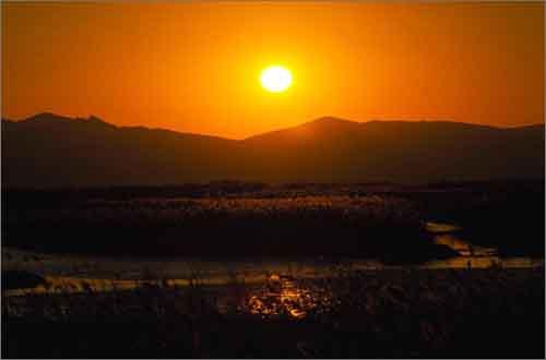 vé máy bay đi Busan