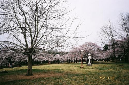 vé máy bay đi Hàn Quốc
